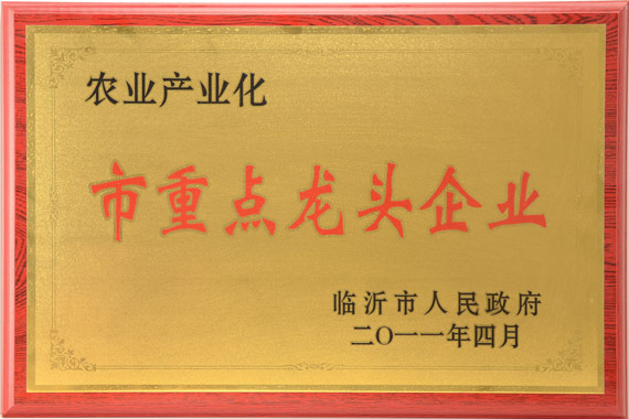 荣誉证书