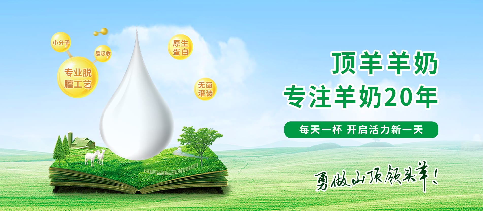 轮播图片